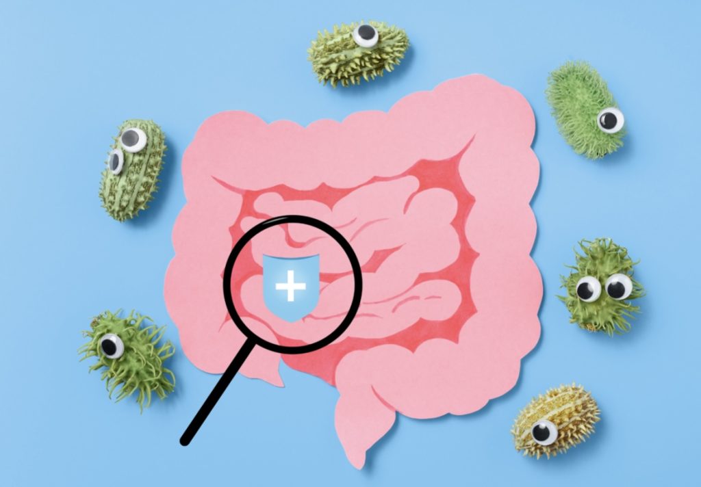 gut environment